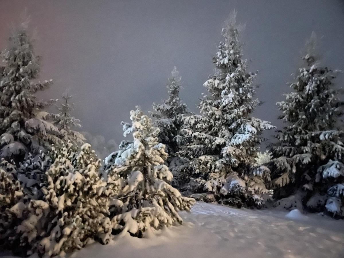 Chalet Ro Peştera Exteriér fotografie