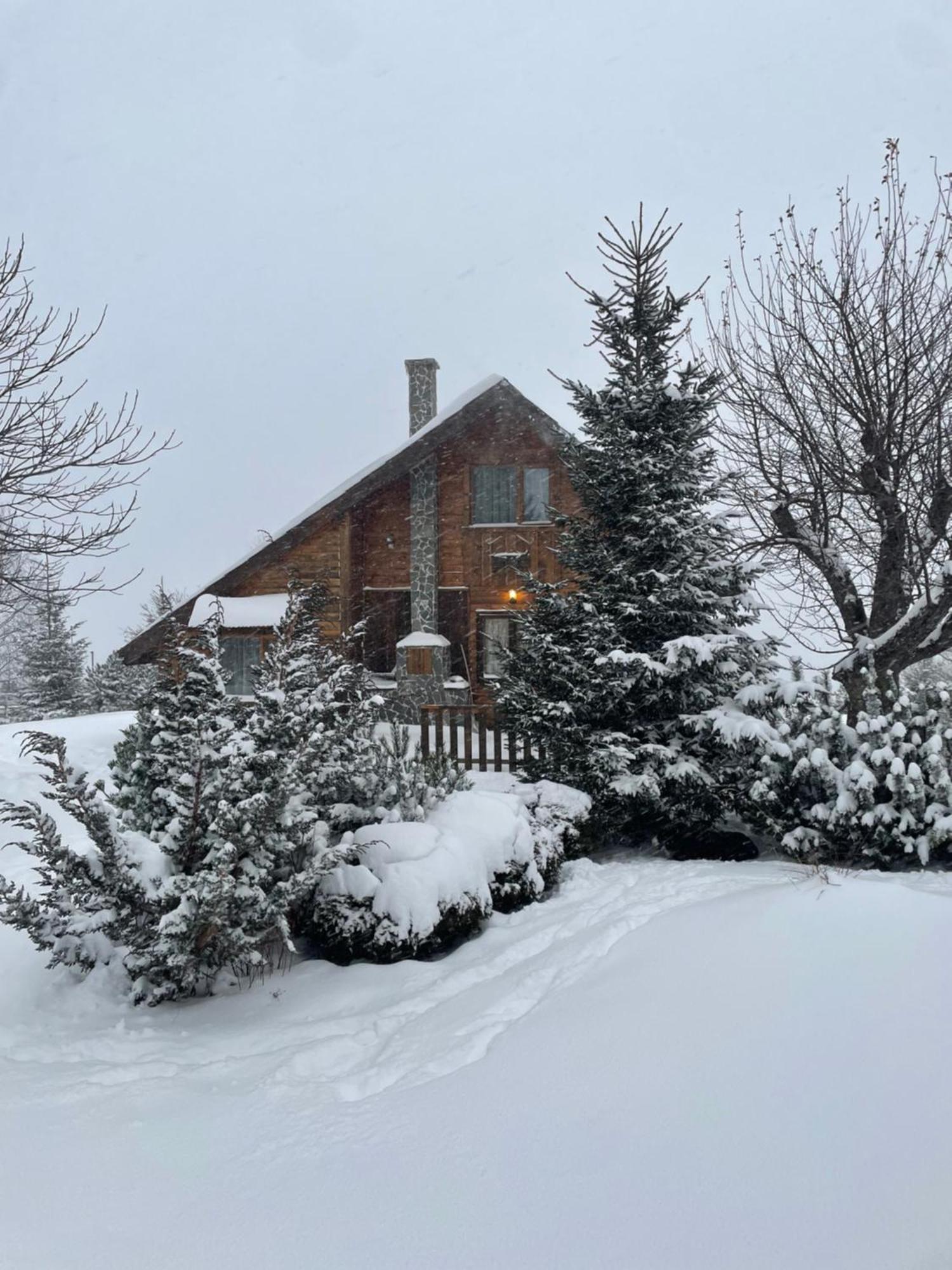 Chalet Ro Peştera Exteriér fotografie