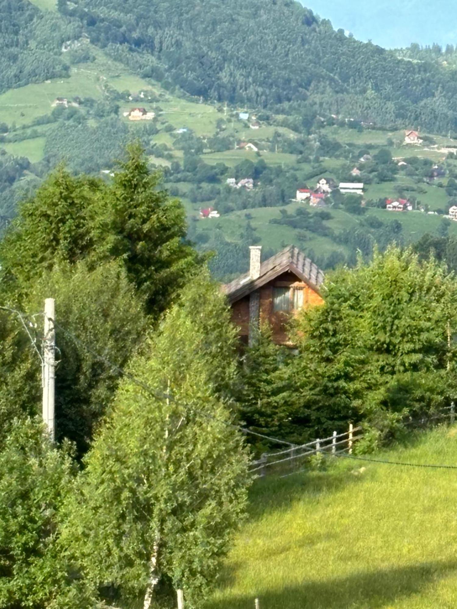 Chalet Ro Peştera Exteriér fotografie