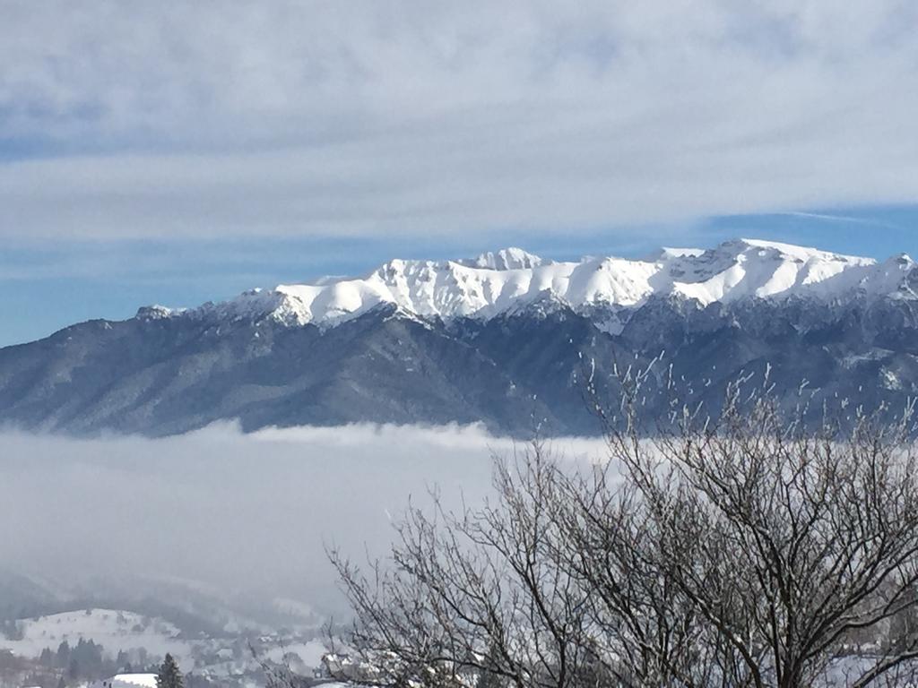 Chalet Ro Peştera Exteriér fotografie