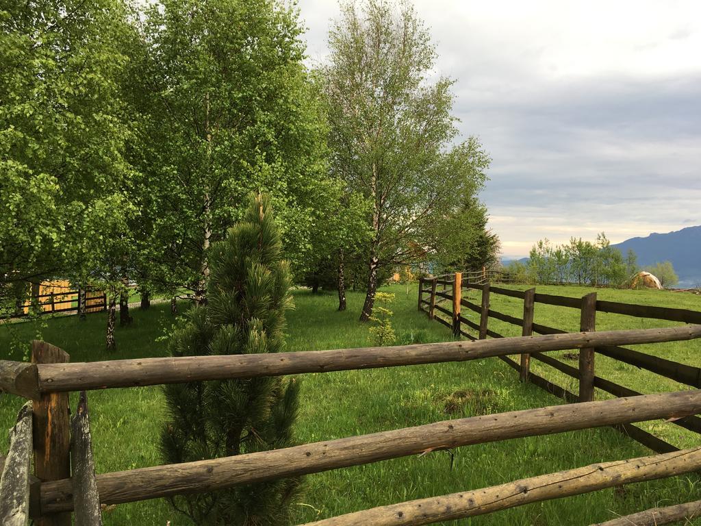 Chalet Ro Peştera Exteriér fotografie