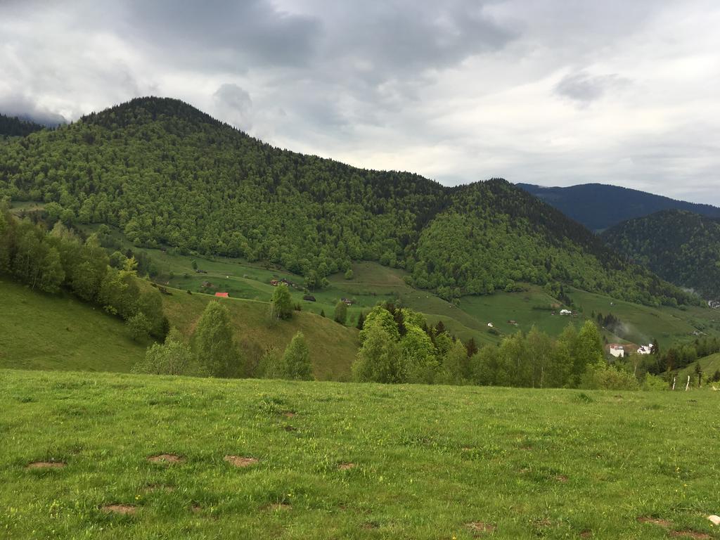 Chalet Ro Peştera Exteriér fotografie